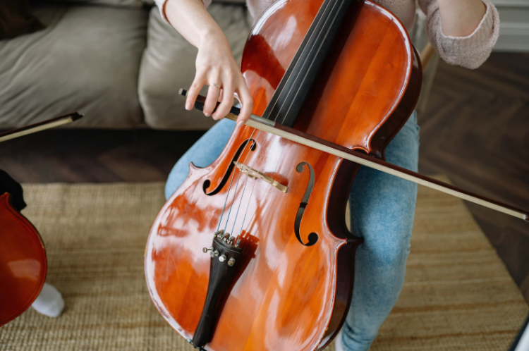 チェロ初心者入門｜楽器選びと練習ロードマップ